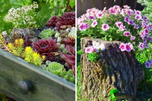 Fioriera fai da te per l’autunno: idee facili per un tocco di colore