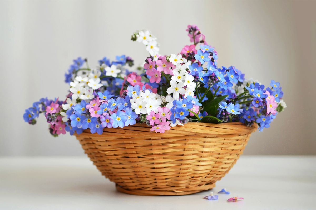 Come usare le ceste di vimini per decorare tutta la casa