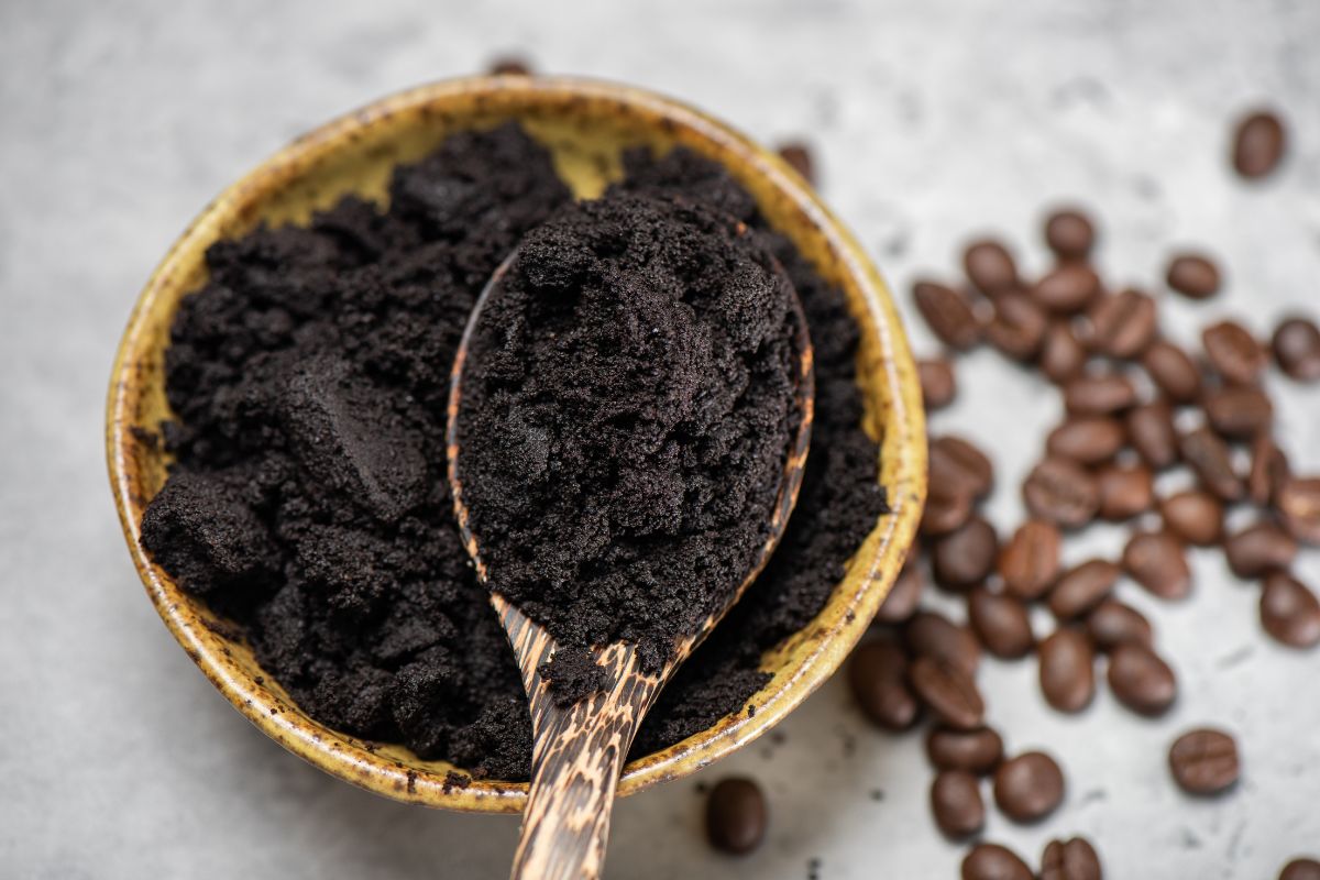 come usare fondi caffè per concimare