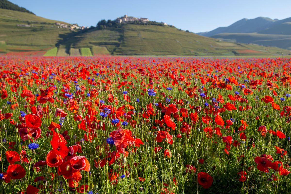 Weekend in Italia a giugno