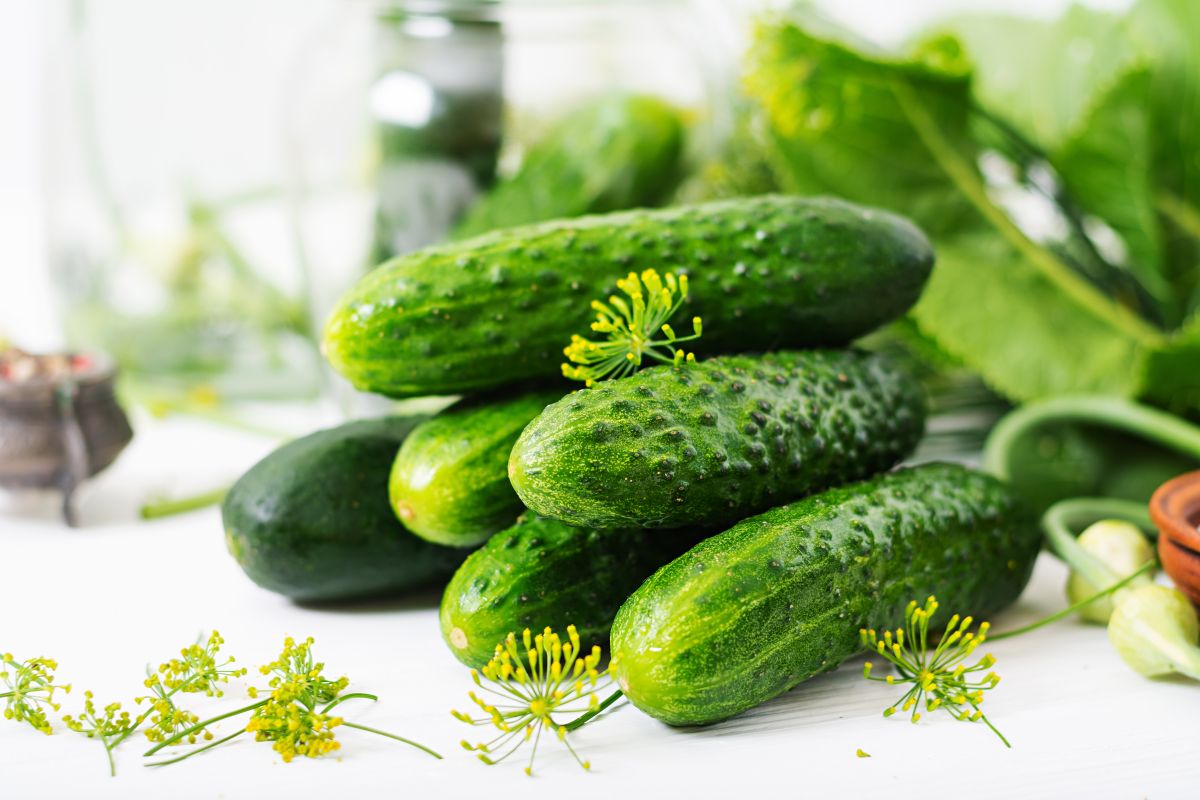 Cetrioli nell’orto: cosa fare ora per evitare frutti amari o troppo acquosi