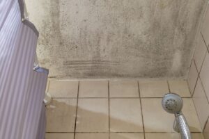 Come eliminare la muffa in bagno