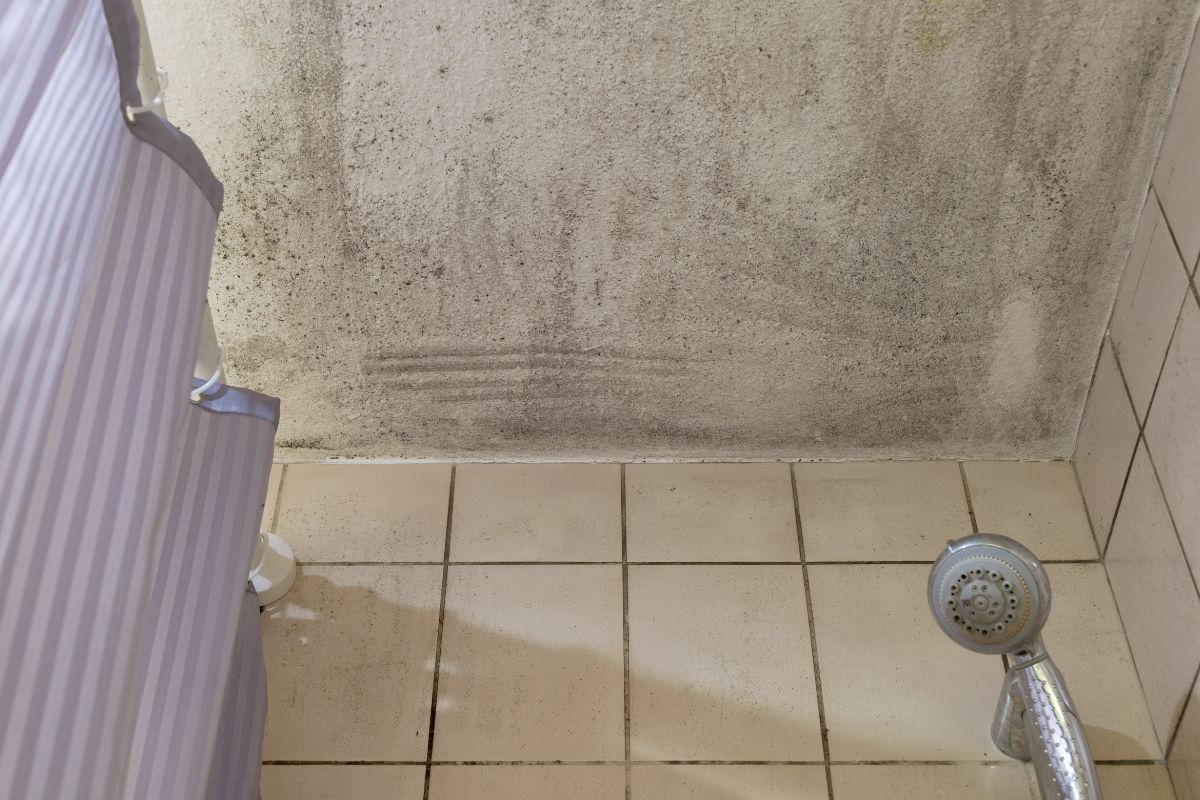 Come eliminare la muffa in bagno