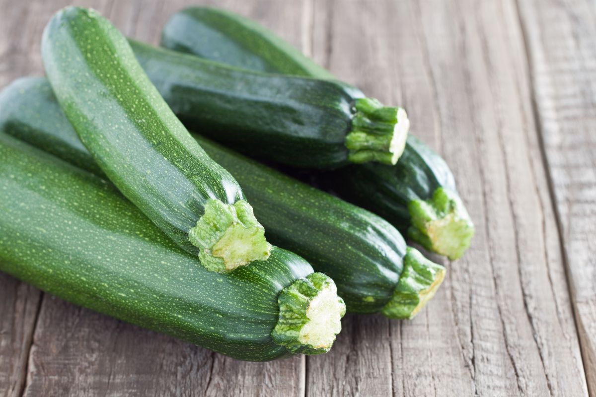 L’errore che secca le zucchine in vaso: come salvare la pianta