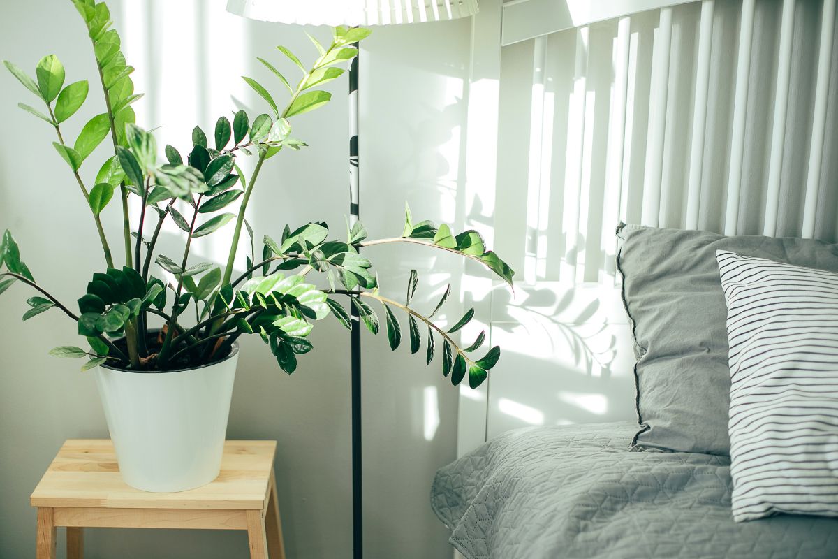Come raffreddare la camera da letto senza condizionatore: 3 soluzioni pratiche