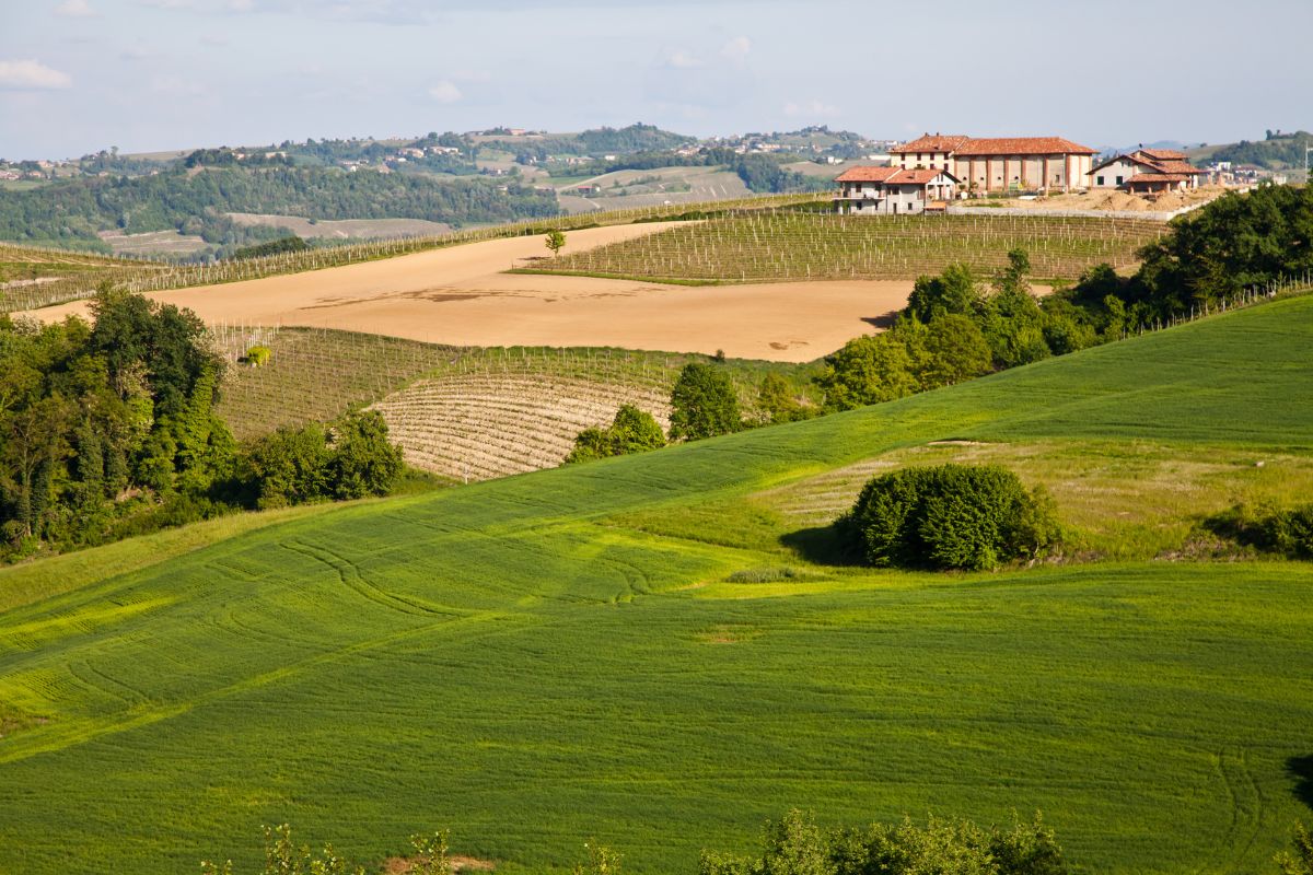 Le colline del Monferrato in estate: borghi, cantine e silenzi rigeneranti