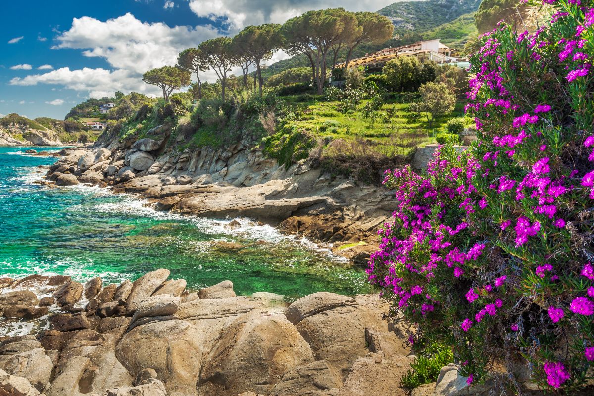 Isola d’Elba a luglio