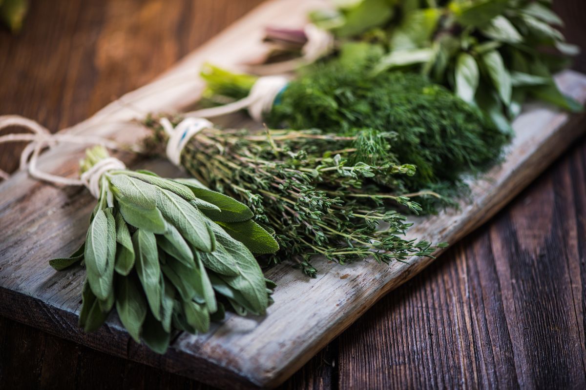 Piante aromatiche a luglio