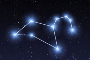 Leone a inizio luglio