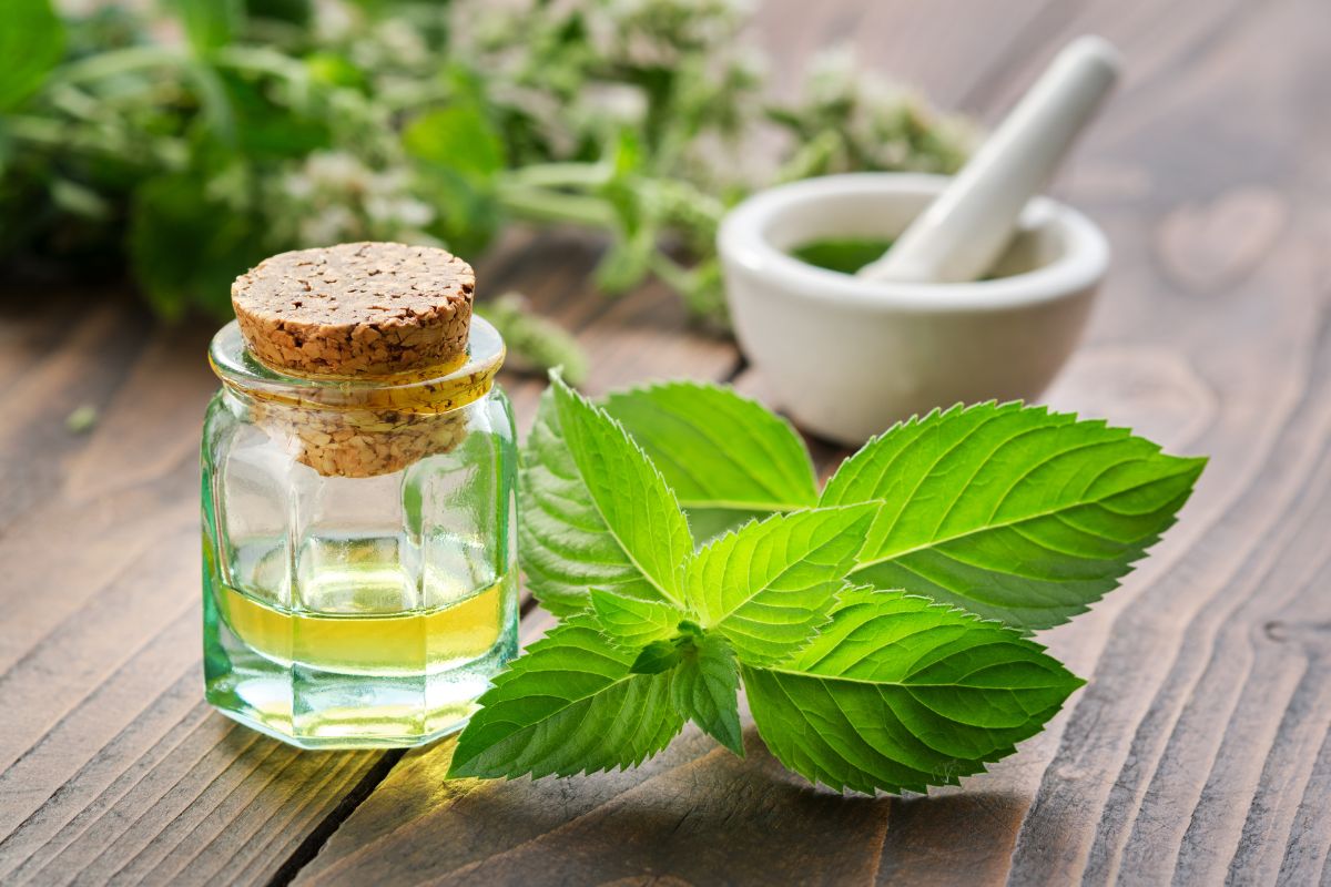 La maschera viso alla menta: semplice, rinfrescante e perfetta per l’estate