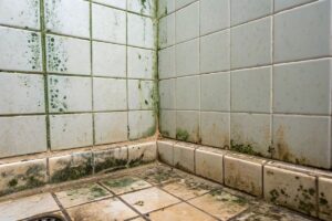 Box doccia pulito