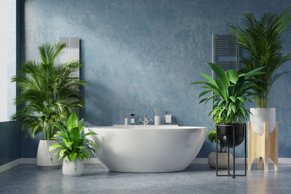 Le piante che puoi tenere in bagno