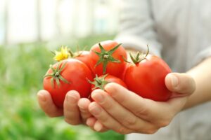 Come ottenere pomodori succosi