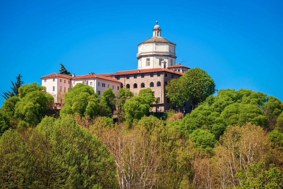 mostre, passeggiate serali e colline fresche a pochi minuti