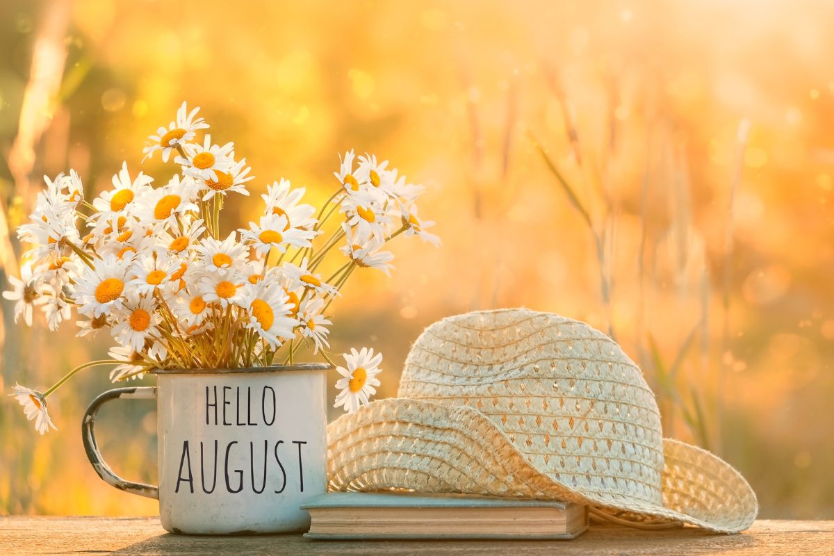zodiaco cosa aspettarsi dal mese di agosto