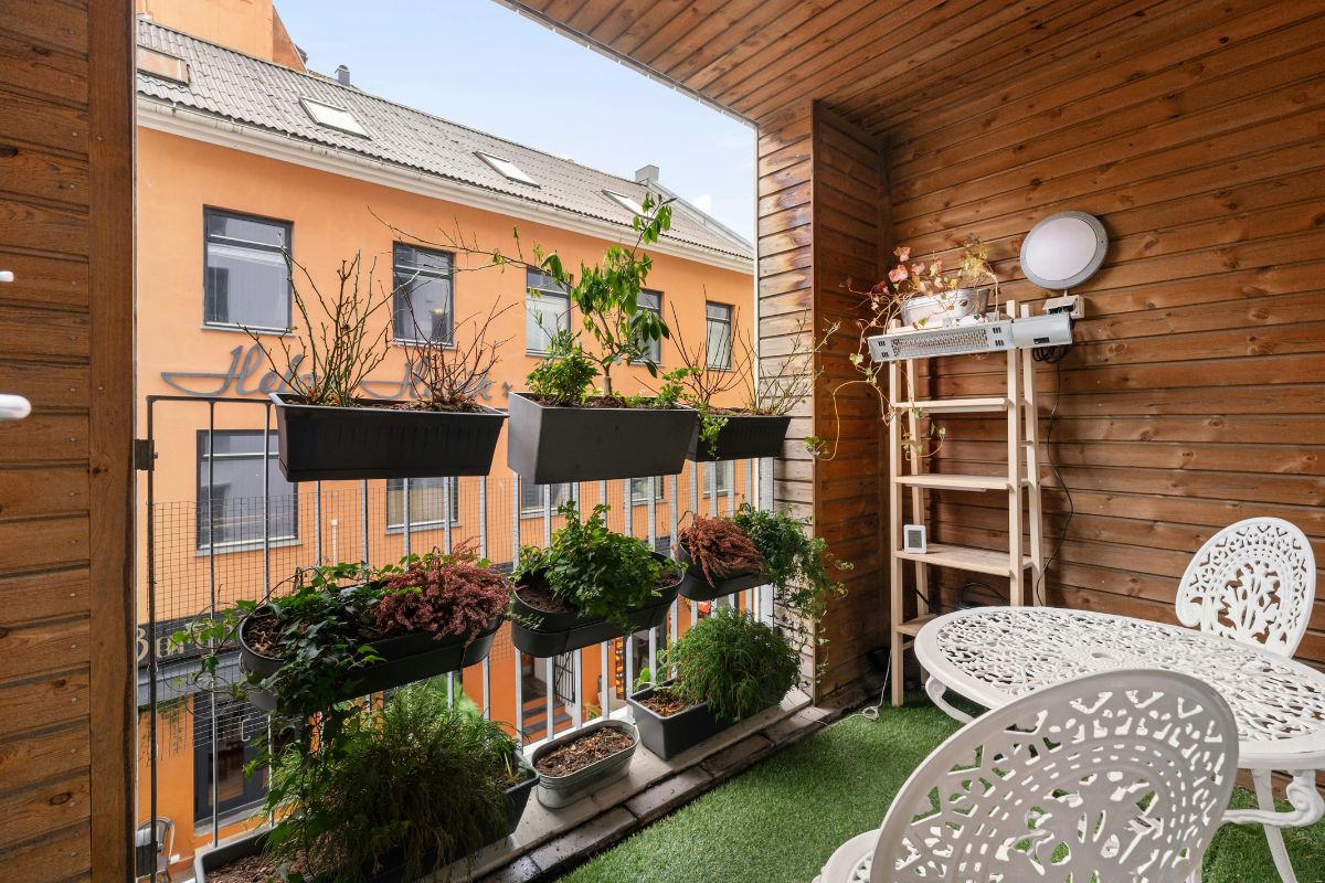Il segreto per mantenere verdi le piante da balcone sotto il sole di agosto
