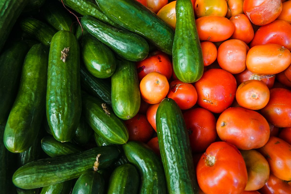 Raccolta abbondante? Idee semplici per conservare zucchine, pomodori e cetrioli