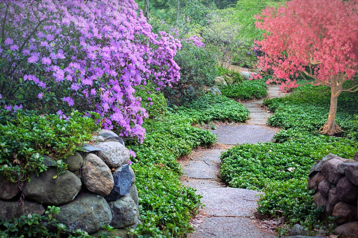 Settembre e i giardini rocciosi