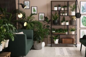 idee innaffiare da sole le piante