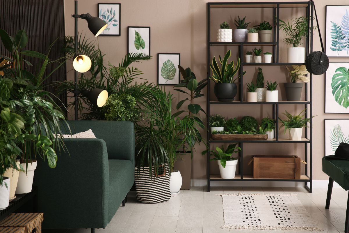 idee innaffiare da sole le piante