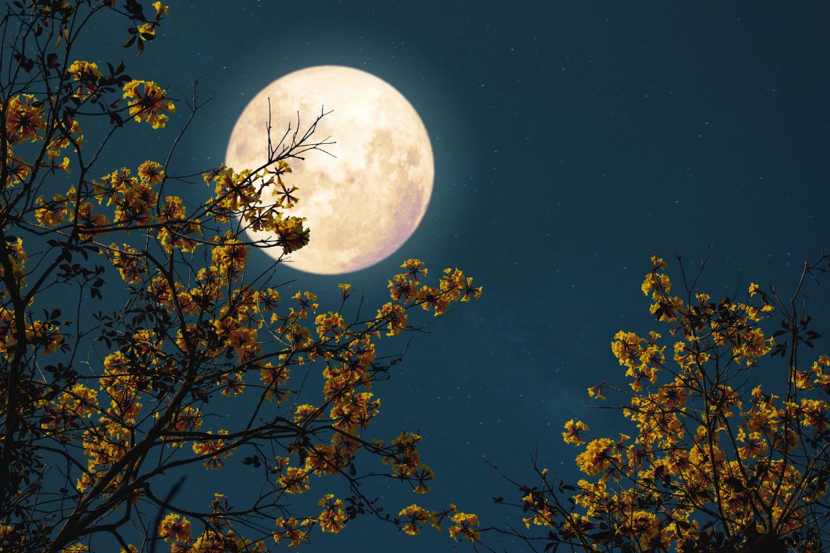Luna piena di settembre
