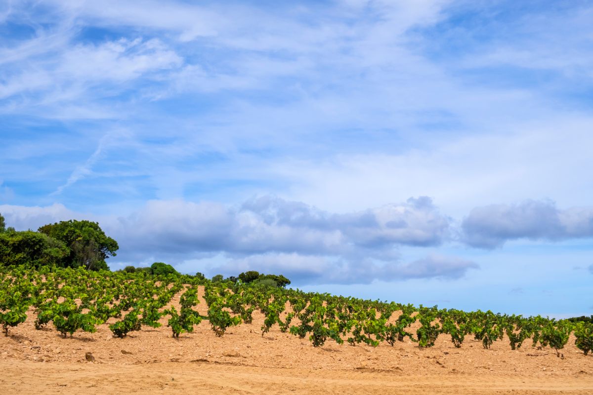 Mare o montagna? Le mete italiane 