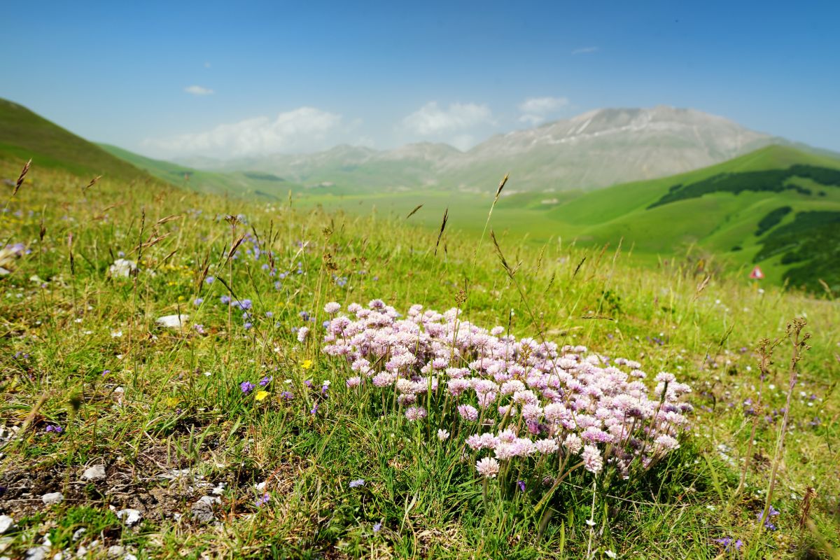 Mare o montagna