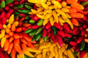 peperoncini ornamentali in agosto