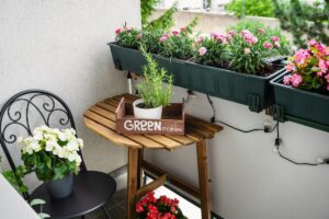 piante da balcone sotto il sole di agosto