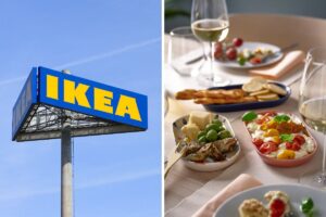 ikea piatti da portata rödsnultra