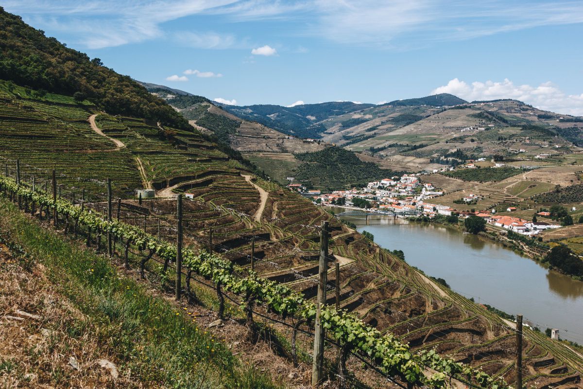 Porto e i vigneti del Douro in agosto