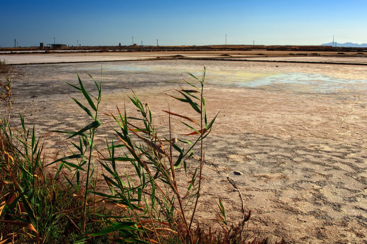le saline di Trapani