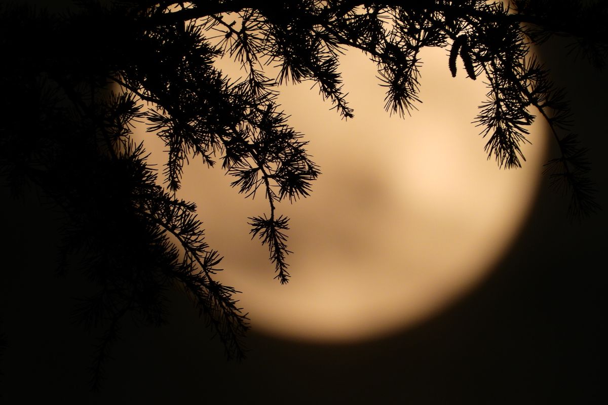 Luna piena di settembre: come influenza Toro e Vergine