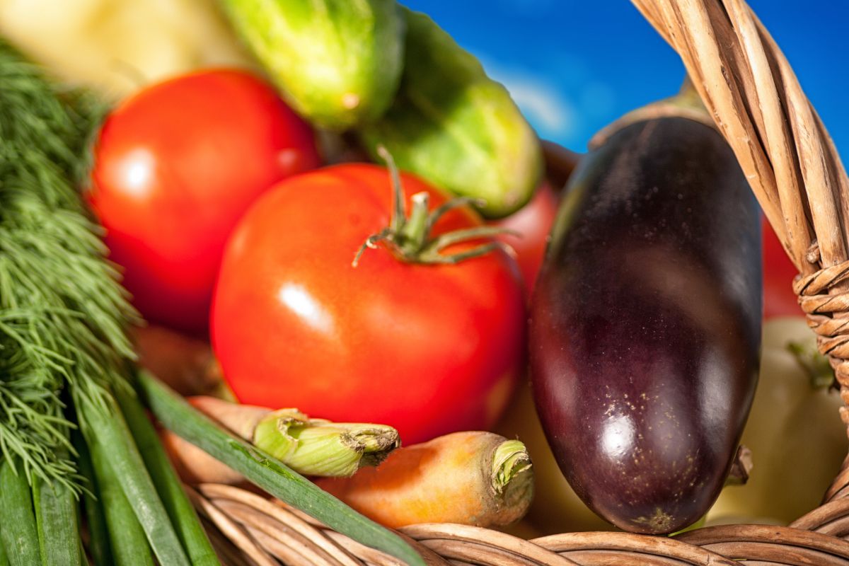 Settembre in arrivo: le verdure che resistono meglio al cambio di stagione