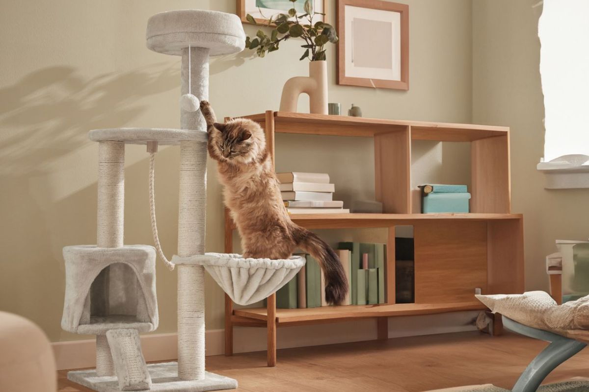 Lidl: il tiragraffi a torre per gatti con amaca e tana a 39,99€ da agosto