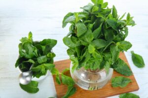 Menta in vaso