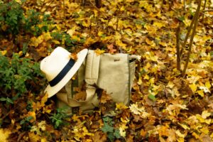 Mete low cost autunno