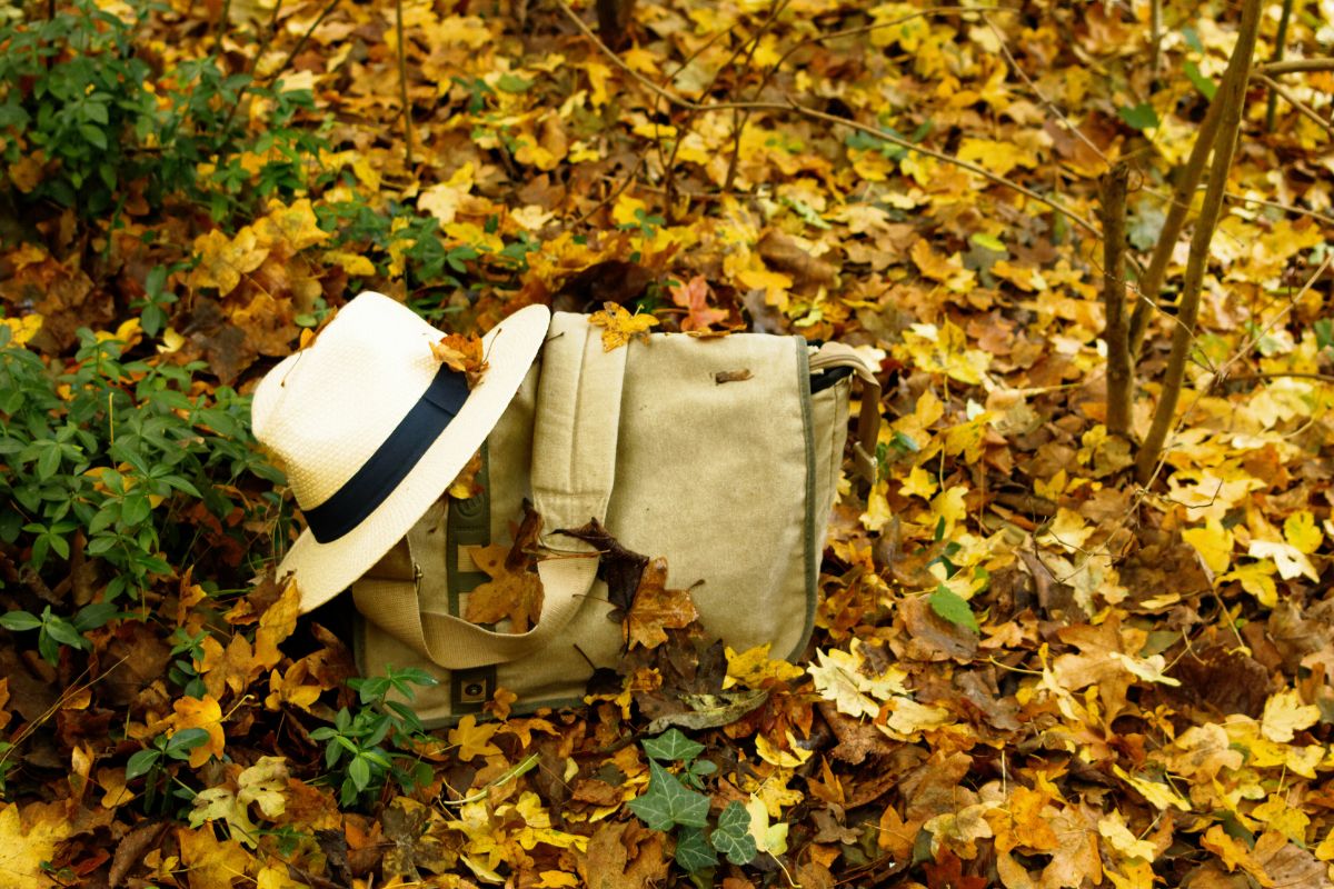Mete low cost autunno 