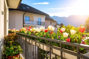 I segreti dell’autunno in giardino: cosa piantare ora per un inverno fiorito