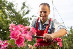 Come potare le rose a settembre per averle splendide in primavera
