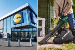 Soffiatore-aspiratore Parkside da 2600W: il super affare Lidl