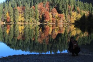 Settembre in Trentino: escursioni tra boschi e primi colori autunnali